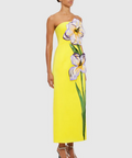 LLSS250362_Rayna-Applique-Floral-Bustier-Maxi-Dress_Iris-Print_2