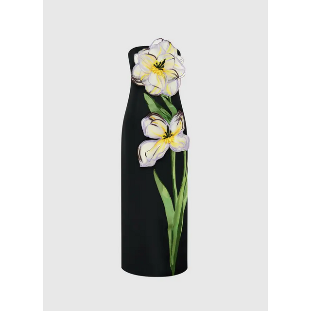 LLSS250362_Rayna-Applique-Floral-Bustier-Maxi-Dress_Iris-PrintinEbony