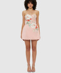 LLRE250011_Rosario-Embroidered-Bustier-Mini-Dress_Light-Rose_1_003_a5763642-5949-4d79-8731-4864a5968bdc