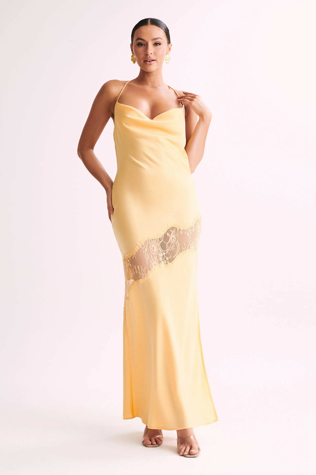 the dress blue or gold Meshki Chandra Dress