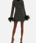 Passion For Fashion Mesh Diamond Feather Mini Dress  Dress.
