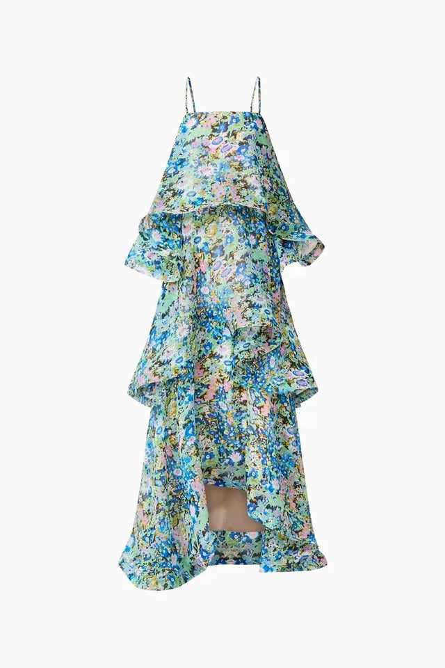 Elliatt Armani Tiered Maxi Dress In Blue Floral