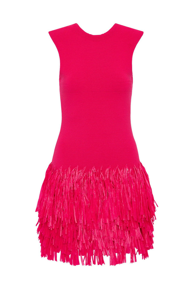 Aje Rushes Raffia Fuchsia Knit Mini Dress