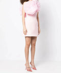 Rachel Gilbert Angelo Mini Dress - 14 / Pink - Dresses