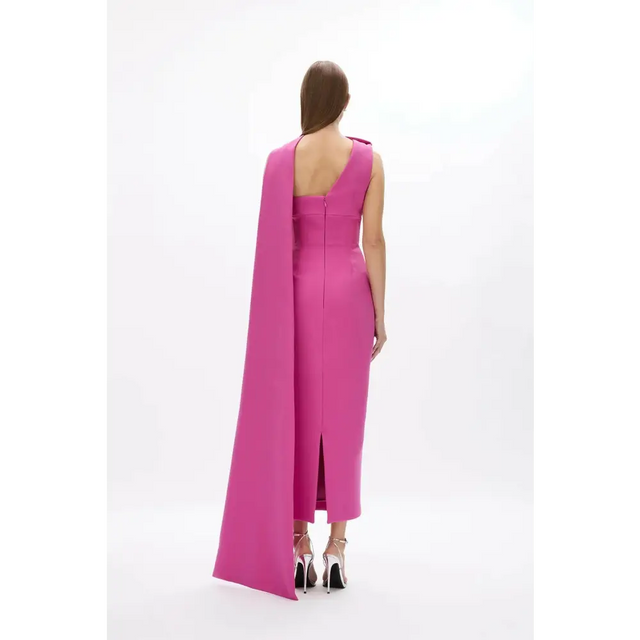Rachel Gilbert Clara Gown Dress Hot Pink Size 6 8 10 12 - Dresses