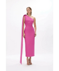 Rachel Gilbert Clara Gown Dress Hot Pink Size 6 8 10 12 - Dresses
