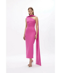 Rachel Gilbert Clara Gown Dress Hot Pink Size 6 8 10 12 - Dresses