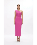 Rachel Gilbert Clara Gown Dress Hot Pink Size 6 8 10 12 - Dresses