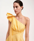 RachelGilbertEMILIANODRESS4