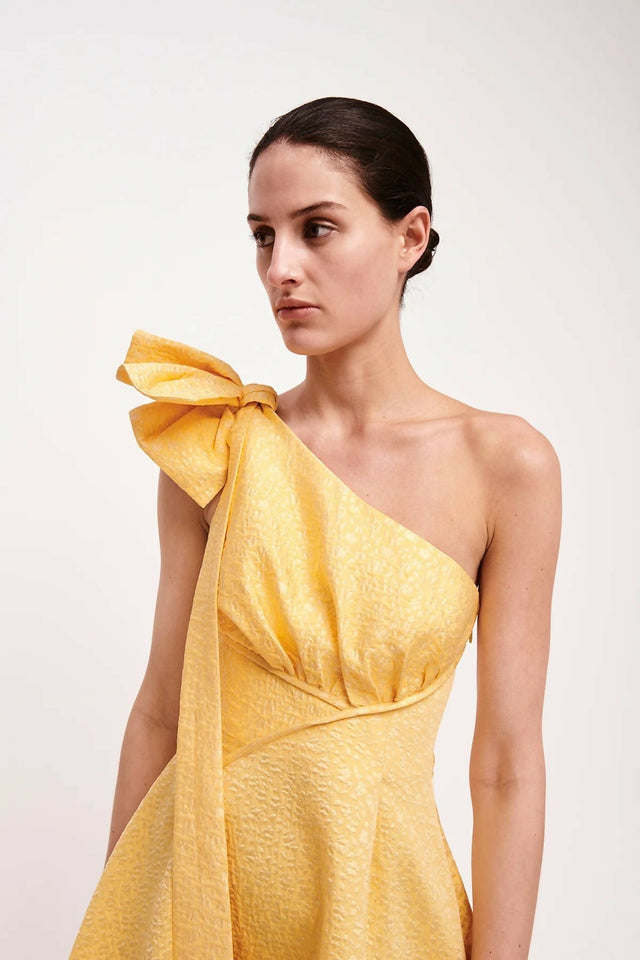 RachelGilbertEMILIANODRESS4
