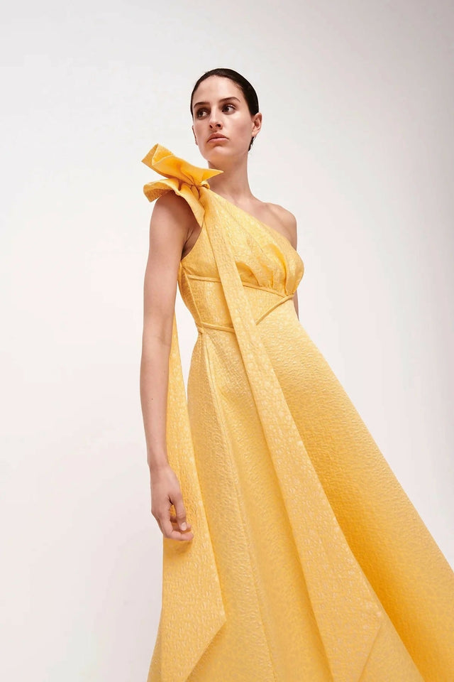 Rachel Gilbert Emiliano Gown Size 10 & 12 - Dresses