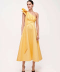 Rachel Gilbert Emiliano Gown Size 10 & 12 - Dresses