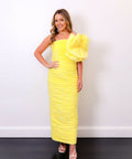 RachelGilbertEvanaDress