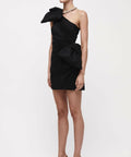 Rachel Gilbert Fauve Mini Dress - 12 / Black - Dresses