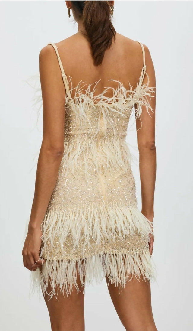 Rachel Gilbert Frenchy Mini in Nude Size 6 - 6 / Nude - Dresses