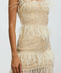 Rachel Gilbert Frenchy Mini Nude Size 3/AU12 - 12 / Nude - Dresses