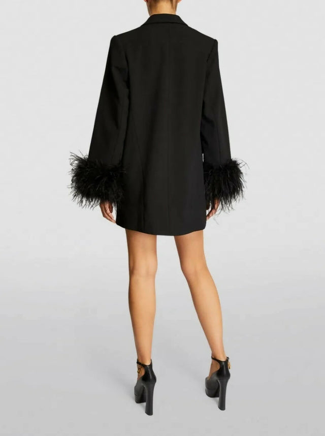 Rachel Gilbert Lincoln Mini Dress - Dresses