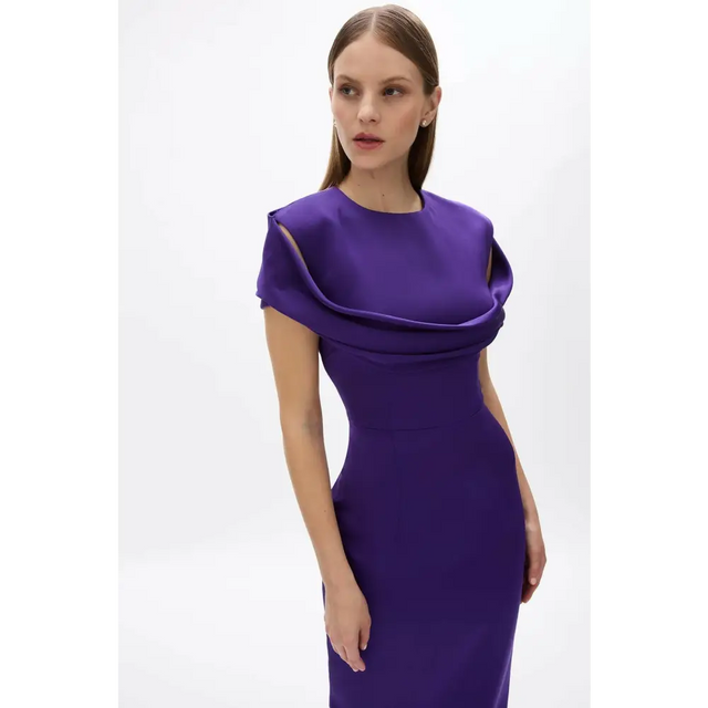 Rachel Gilbert Lorna Gown Dress Purple Size 1 & 2 - Dresses
