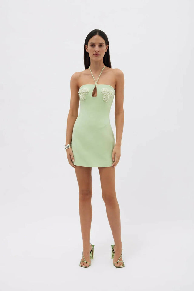Rachel Gilbert Lucie Mini Dress