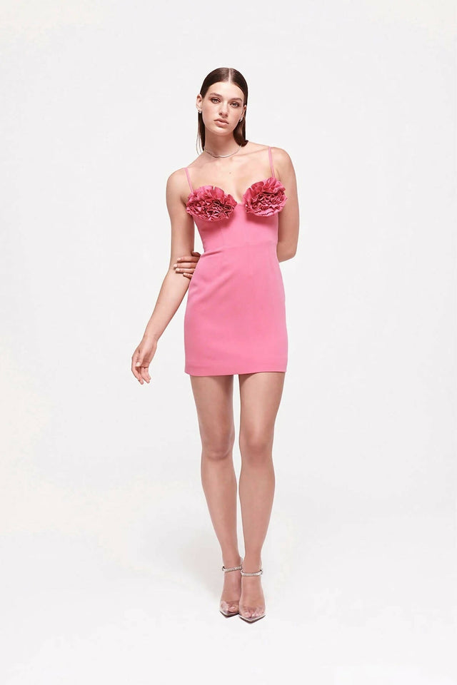 Rachel Gilbert Margot Mini Dress - 10 / Pink - Dresses