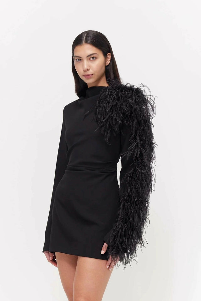 Rachel Gilbert Reina Mini Dress Black Size 3/AU12 - 12 / Black - Dresses