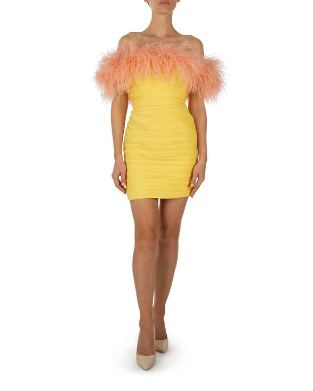 Rachel Gilbert Zion Mini Dress - 14 / Multi - Dresses