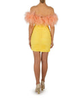 Rachel Gilbert Zion Mini Size 8 & 12 - Dresses