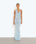 imgi_101_RatandBoa_FL_Anais_Dress__16_960x_crop_center@2x.jpg