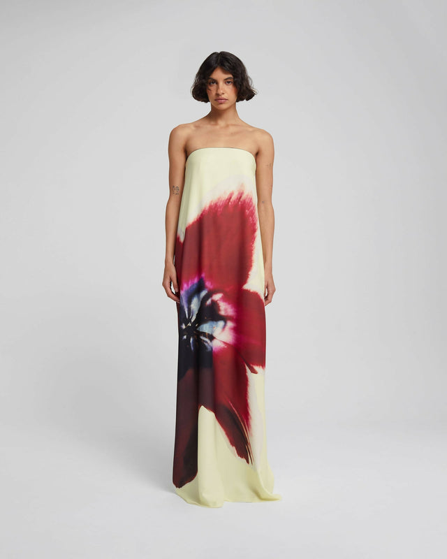 RatAndBoa_Antheia_Dress_2282_fr_960x_crop_center@2x.jpg