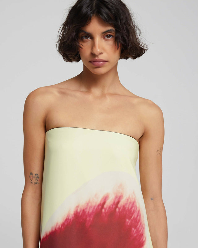 RatAndBoa_Antheia_Dress_2282_d2_960x_crop_center@2x.jpg
