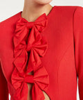 RebeccaVallanceScarlettLongSleeveMiniDressCLOSEUP