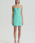 TAILOREDBUSTIERDRESS1