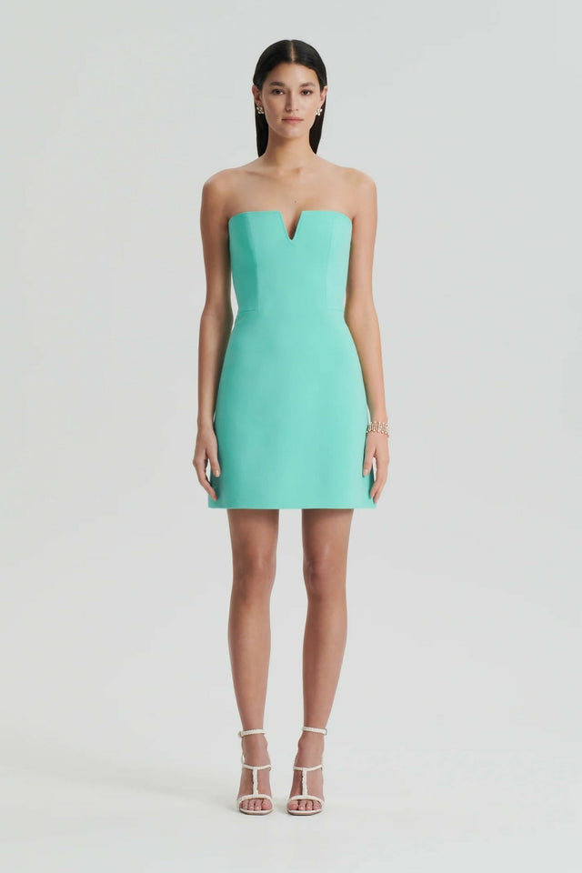 TAILOREDBUSTIERDRESS1