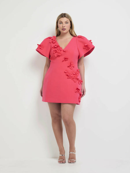 sheike highlight mini dress Sheike Michelle Mini Dress