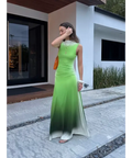 Simkhai Aldina Ruched Ombre Stretch Jersey Turtleneck Maxi Dress Green Size S / AU 8 - 8 / Green - Dresses