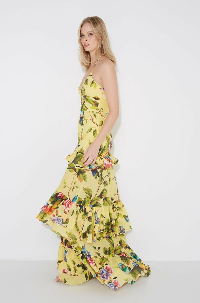 Sonya Florence Maxi Dress Royal Botanica Size S/AU 8 - Dresses