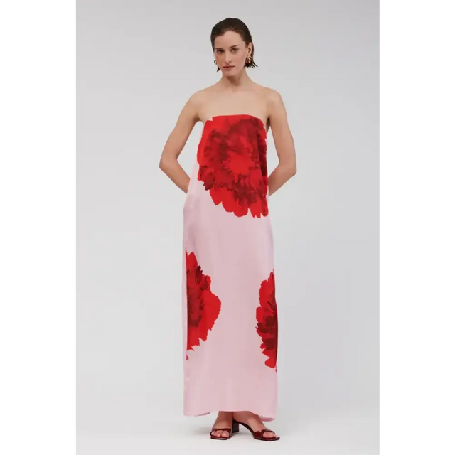Suboo - Emilia Bustier Maxi Dress - Pink Floral - 10 / Pink - Dresses