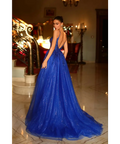 Tina Holly TE216 Royal Blue (size 8) & Purple (size 10) - Dresses