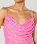 Winona Zadie Cowl Neck Mini Dress - Dresses