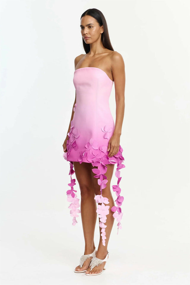 Acler Sandia Mini Dress in Taffy Ombre