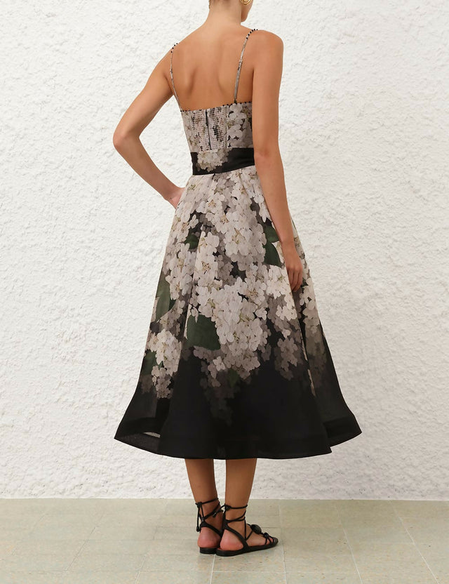 4.3900ds253.blkhyd.black-hydrangea