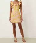 Zimmermann Golden Ruffle Mini Dress in Pink/Gold Flora - Dresses