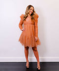 ZimmermannTulleRuchedMiniinLipstickDesignerDress