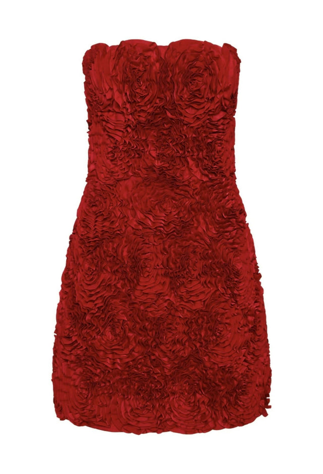 Aje Gazer Rosette Mini Dress Red Size 12