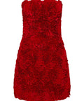 AJE - Aje Gazer Rosette Mini Dress
