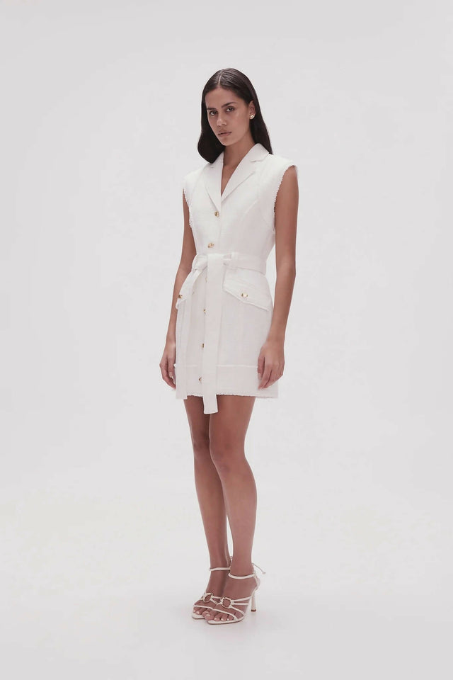 Curated Collection - Aje Isabel Utility Mini Dress