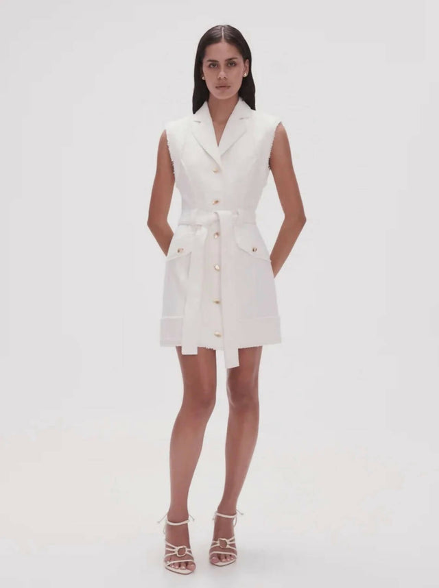 Curated Collection - Aje Isabel Utility Mini Dress