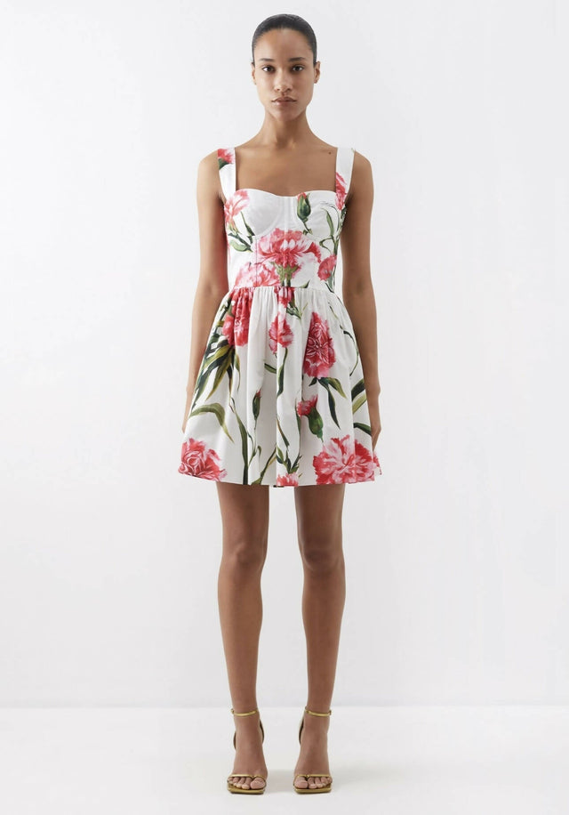 Dolce & Gabbana - Dolce & Gabbana Short Carnation - Print Poplin Dress